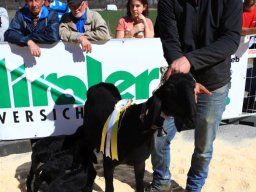 2019_ausstellung polling_365